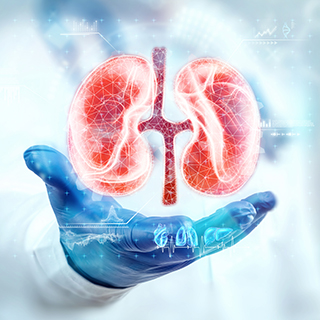 Kidney Transplant