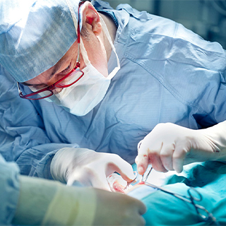 Liver Organ Transplant